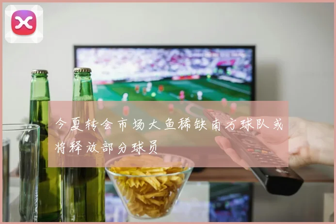 今夏转会市场大鱼稀缺南方球队或将释放部分球员