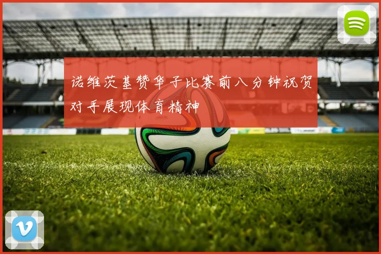 诺维茨基赞华子比赛前八分钟祝贺对手展现体育精神